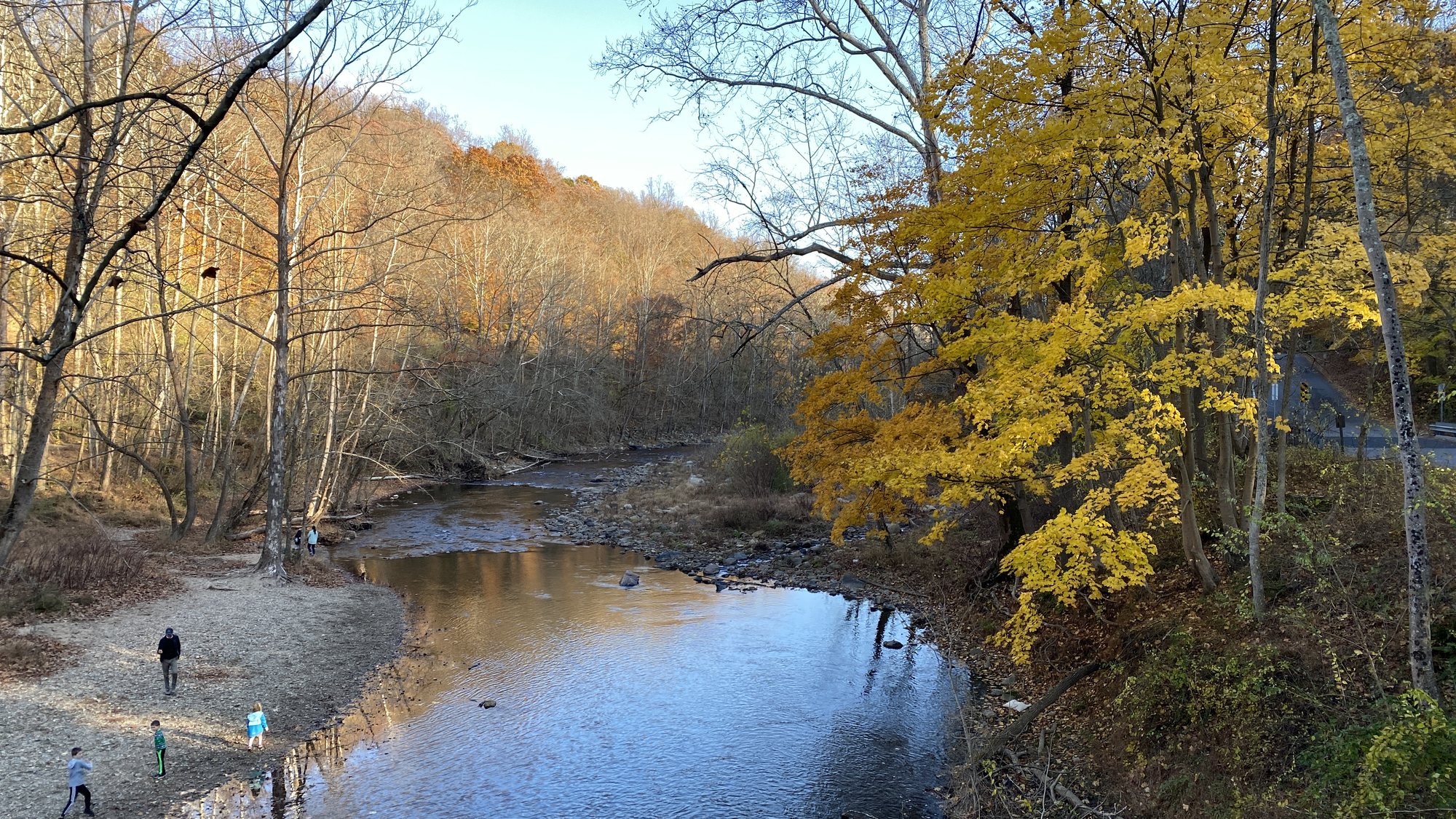 The Patapsco River and autumn trees in Patapsco Valley State Park