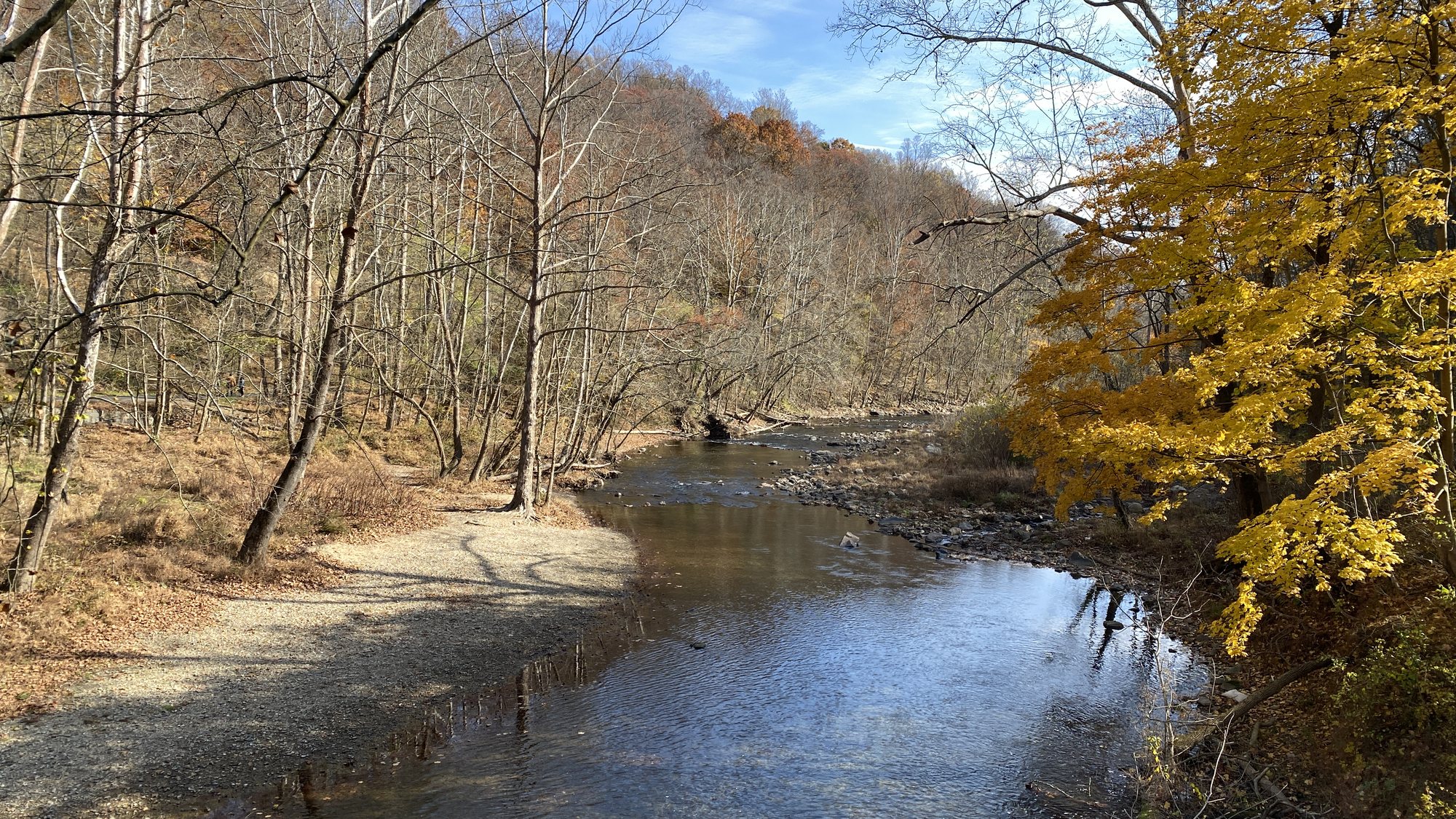 The Patapsco River under autumn trees in Patapsco Valley State Park