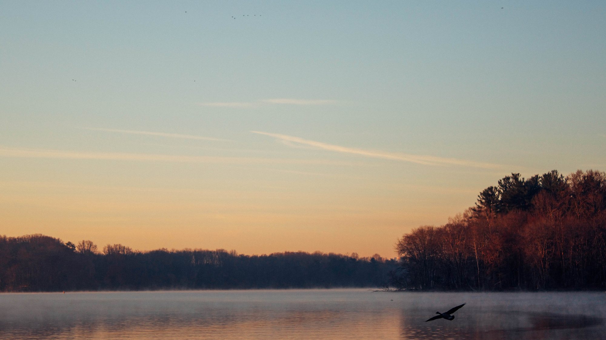 Sunrise over Loch Raven Reservoir, with autumn trees along the shore